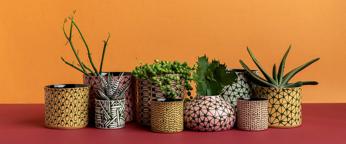 Mexican Palette
