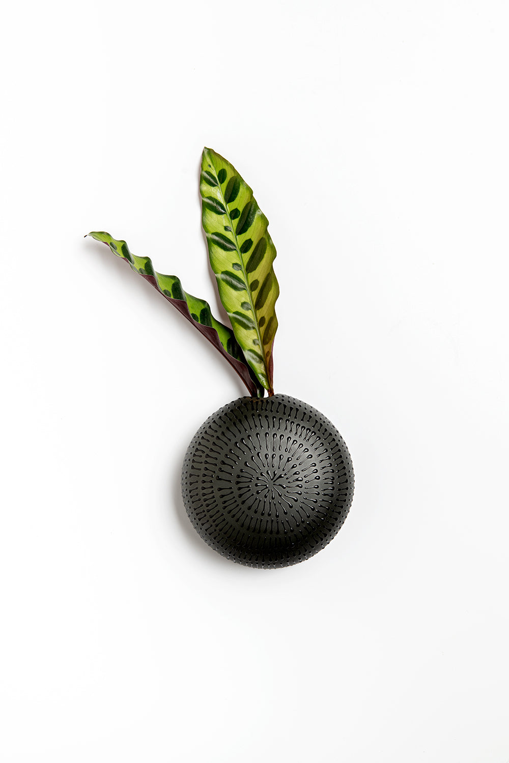 wall hanging vase, home deco, Hanging Vase, Wall Vase