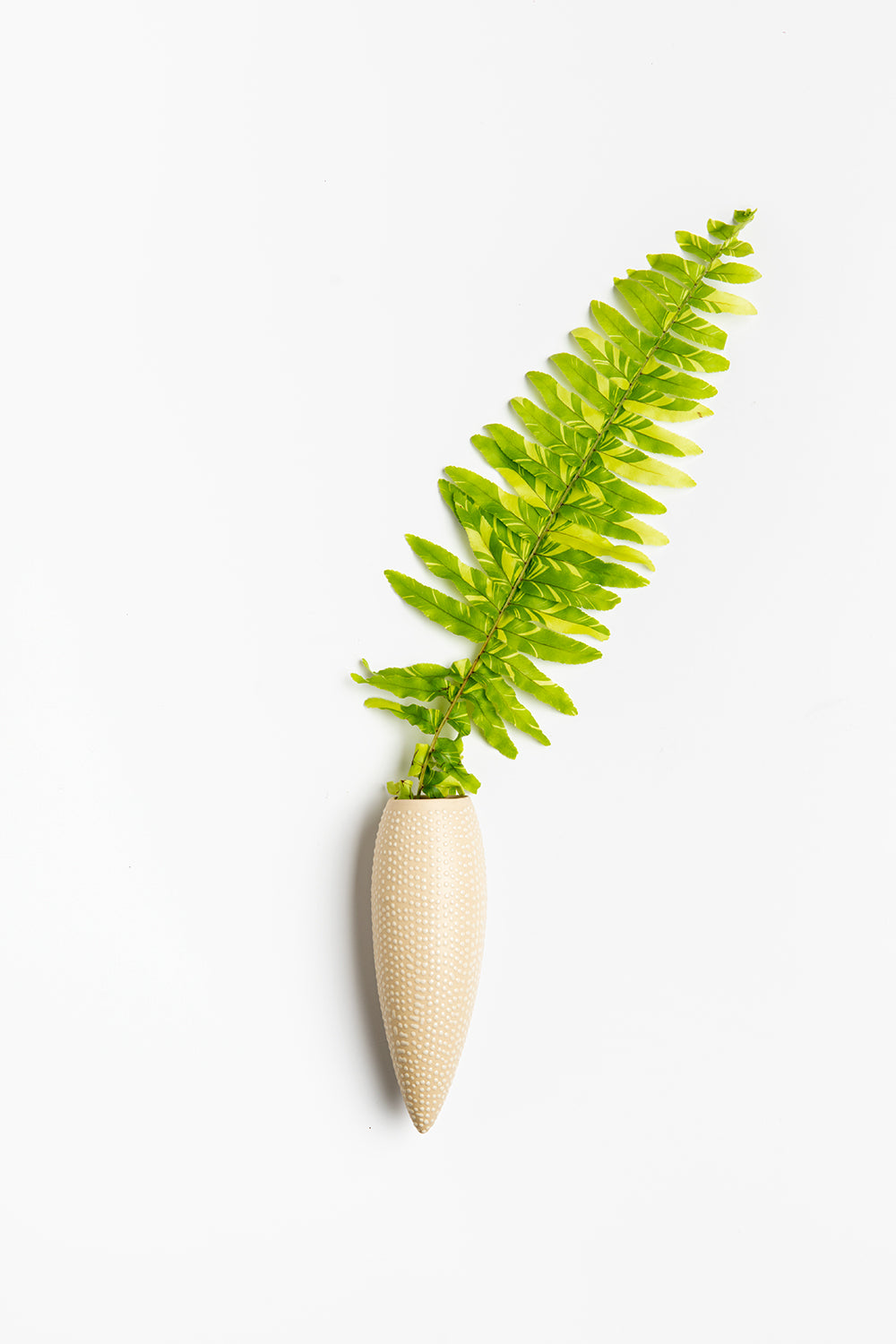 wall hanging vase, home deco, Hanging Vase, Wall Vase