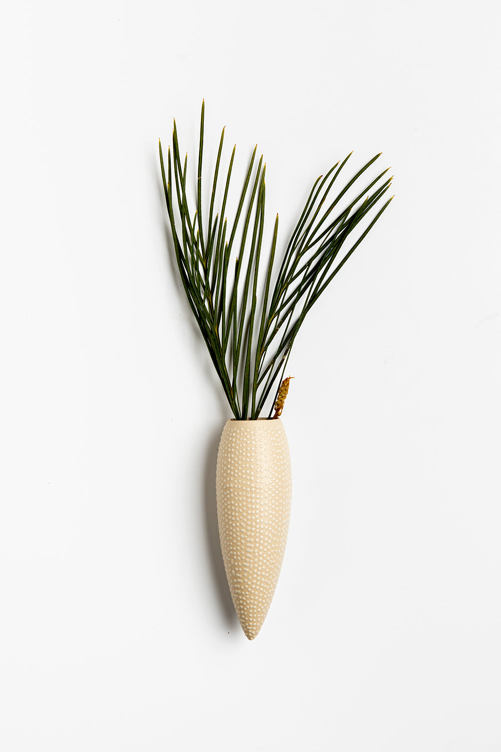 wall hanging vase, home deco, Hanging Vase, Wall Vase