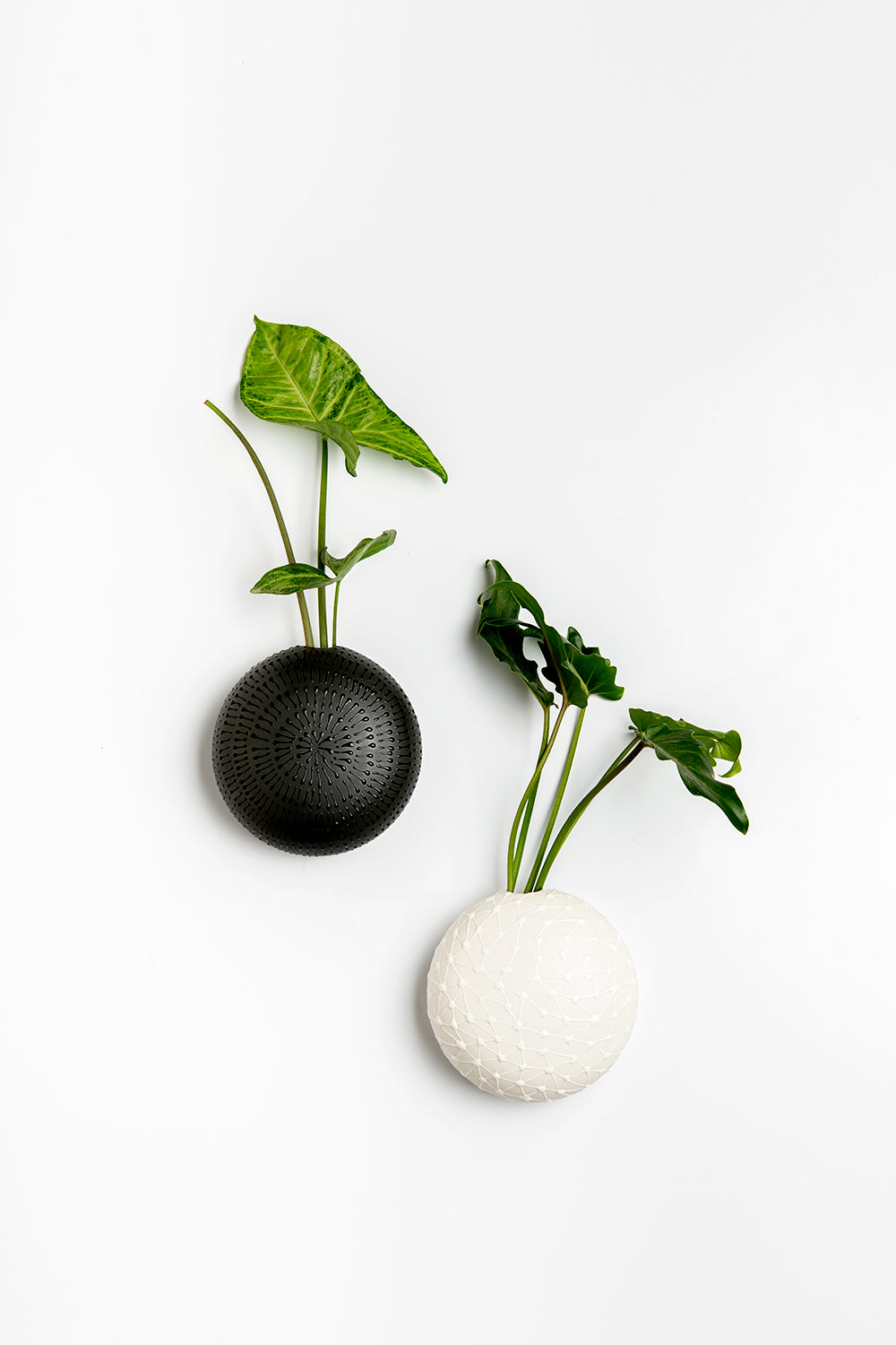 wall hanging vase, home deco, Hanging Vase, Wall Vase