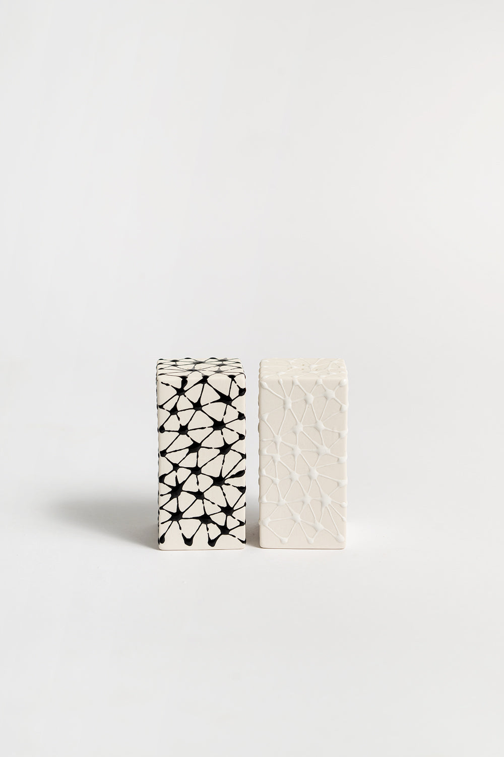 A pair of ceramic salt and pepper shakers with a geometric pattern 