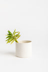 Porcelain Ceramic Planter, Handcrafted Indoor Planter, Multifunctional Ceramic Pot, Slip-Cast Decorative Planter, Home Decor Planter, Succulent Ceramic Pot, Elegant Cylindrical Planter, Colored Porcelain Planter, Artistic Indoor Plant Pot