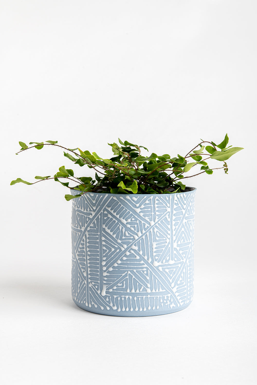 Porcelain Ceramic Planter, Handcrafted Indoor Planter, Multifunctional Ceramic Pot, Slip-Cast Decorative Planter, Home Decor Planter, Succulent Ceramic Pot, Elegant Cylindrical Planter, Colored Porcelain Planter, Artistic Indoor Plant Pot