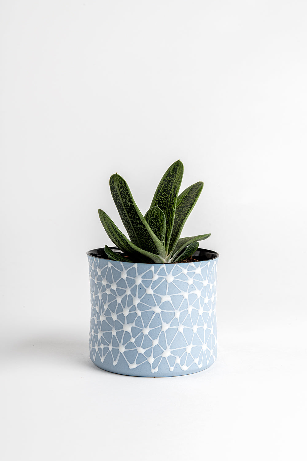 Porcelain Ceramic Planter, Handcrafted Indoor Planter, Multifunctional Ceramic Pot, Slip-Cast Decorative Planter, Home Decor Planter, Succulent Ceramic Pot, Elegant Cylindrical Planter, Colored Porcelain Planter, Artistic Indoor Plant Pot
