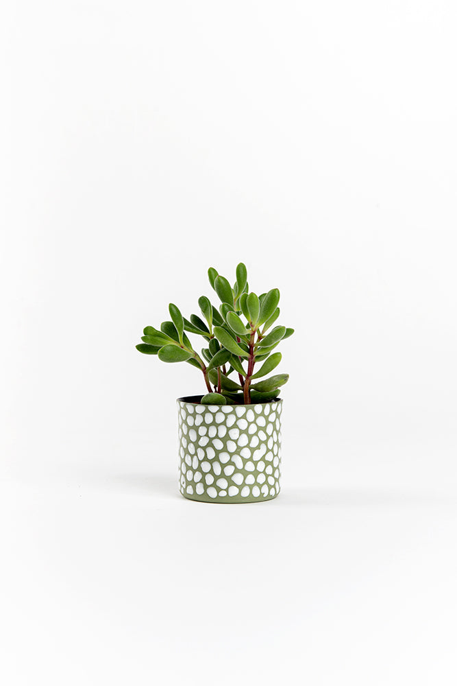 Porcelain Ceramic Planter, Handcrafted Indoor Planter, Multifunctional Ceramic Pot, Slip-Cast Decorative Planter, Home Decor Planter, Succulent Ceramic Pot, Elegant Cylindrical Planter, Colored Porcelain Planter, Artistic Indoor Plant Pot