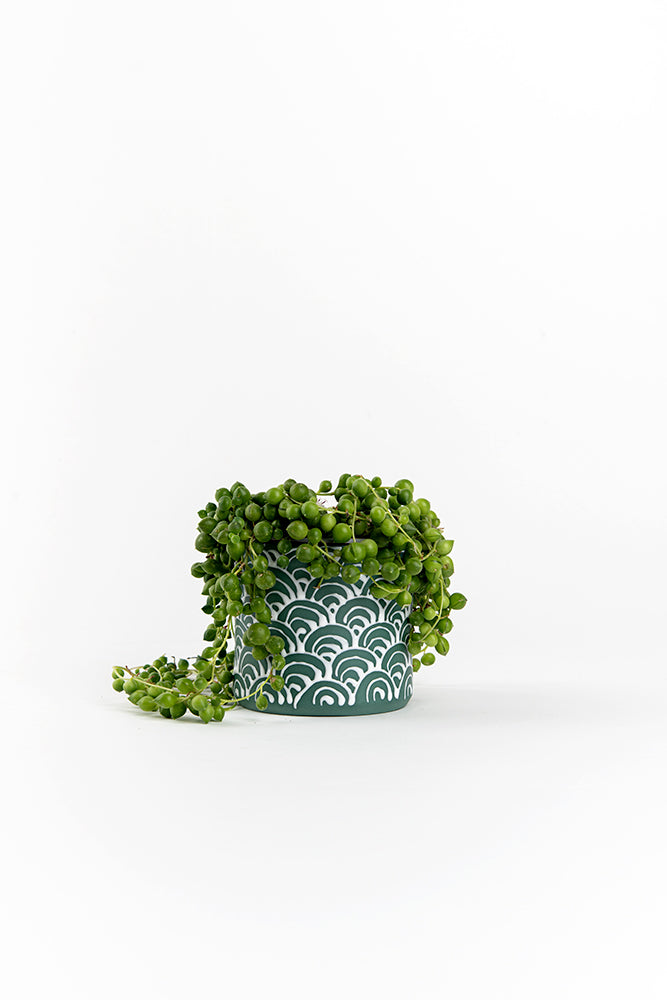 Porcelain Ceramic Planter, Handcrafted Indoor Planter, Multifunctional Ceramic Pot, Slip-Cast Decorative Planter, Home Decor Planter, Succulent Ceramic Pot, Elegant Cylindrical Planter, Colored Porcelain Planter, Artistic Indoor Plant Pot