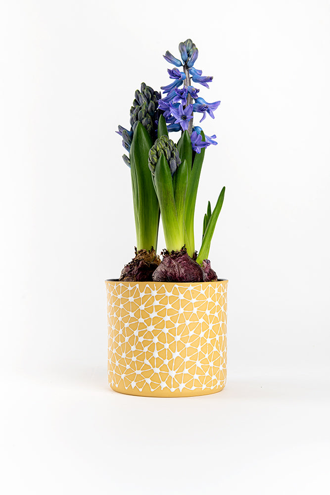 Porcelain Ceramic Planter, Handcrafted Indoor Planter, Multifunctional Ceramic Pot, Slip-Cast Decorative Planter, Home Decor Planter, Succulent Ceramic Pot, Elegant Cylindrical Planter, Colored Porcelain Planter, Artistic Indoor Plant Pot