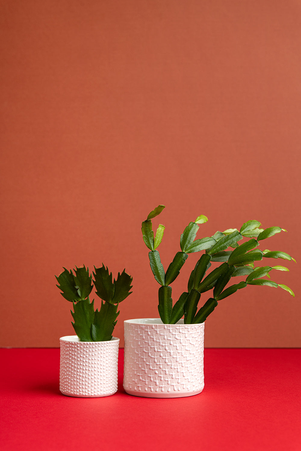 Porcelain Ceramic Planter, Handcrafted Indoor Planter, Multifunctional Ceramic Pot, Slip-Cast Decorative Planter, Home Decor Planter, Succulent Ceramic Pot, Elegant Cylindrical Planter, Colored Porcelain Planter, Artistic Indoor Plant Pot