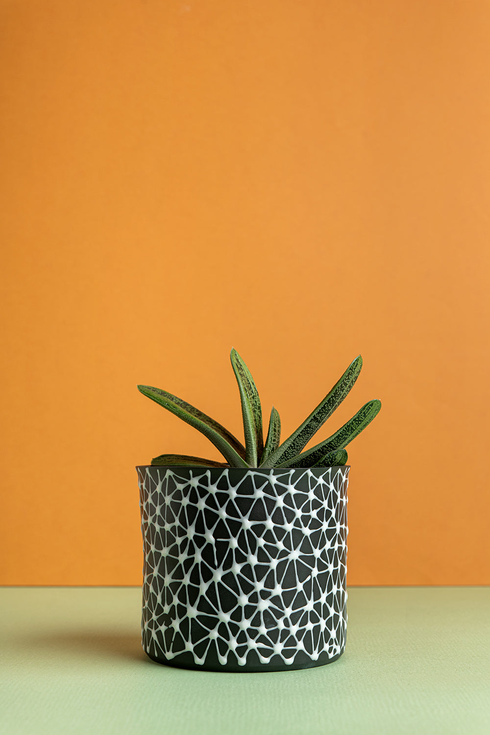 Porcelain Ceramic Planter, Handcrafted Indoor Planter, Multifunctional Ceramic Pot, Slip-Cast Decorative Planter, Home Decor Planter, Succulent Ceramic Pot, Elegant Cylindrical Planter, Colored Porcelain Planter, Artistic Indoor Plant Pot