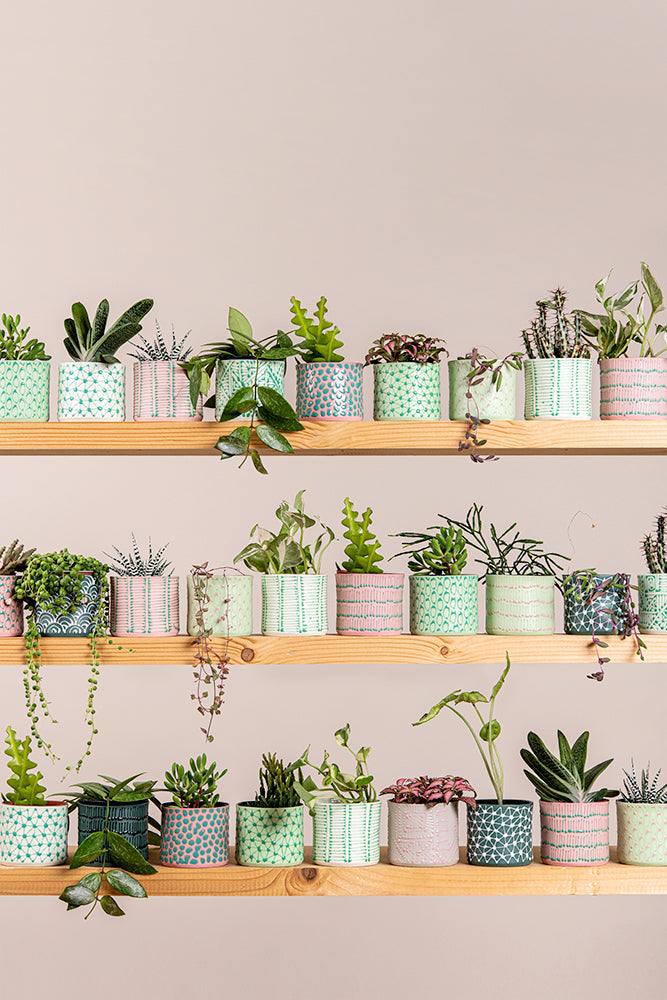 Porcelain Ceramic Planter, Handcrafted Indoor Planter, Multifunctional Ceramic Pot, Slip-Cast Decorative Planter, Home Decor Planter, Succulent Ceramic Pot, Elegant Cylindrical Planter, Colored Porcelain Planter, Artistic Indoor Plant Pot