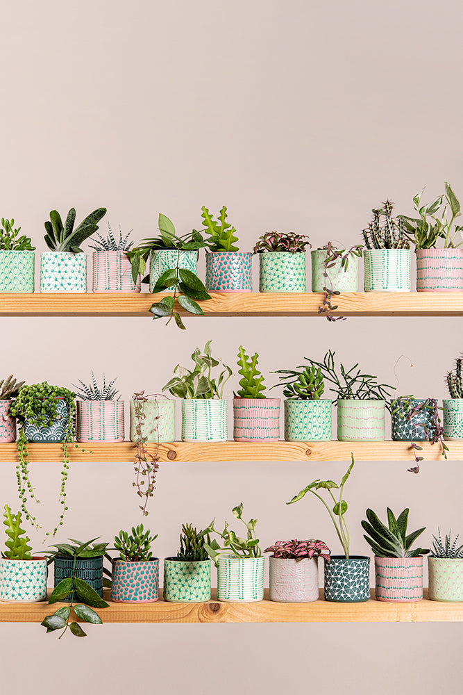 Porcelain Ceramic Planter, Handcrafted Indoor Planter, Multifunctional Ceramic Pot, Slip-Cast Decorative Planter, Home Decor Planter, Succulent Ceramic Pot, Elegant Cylindrical Planter, Colored Porcelain Planter, Artistic Indoor Plant Pot