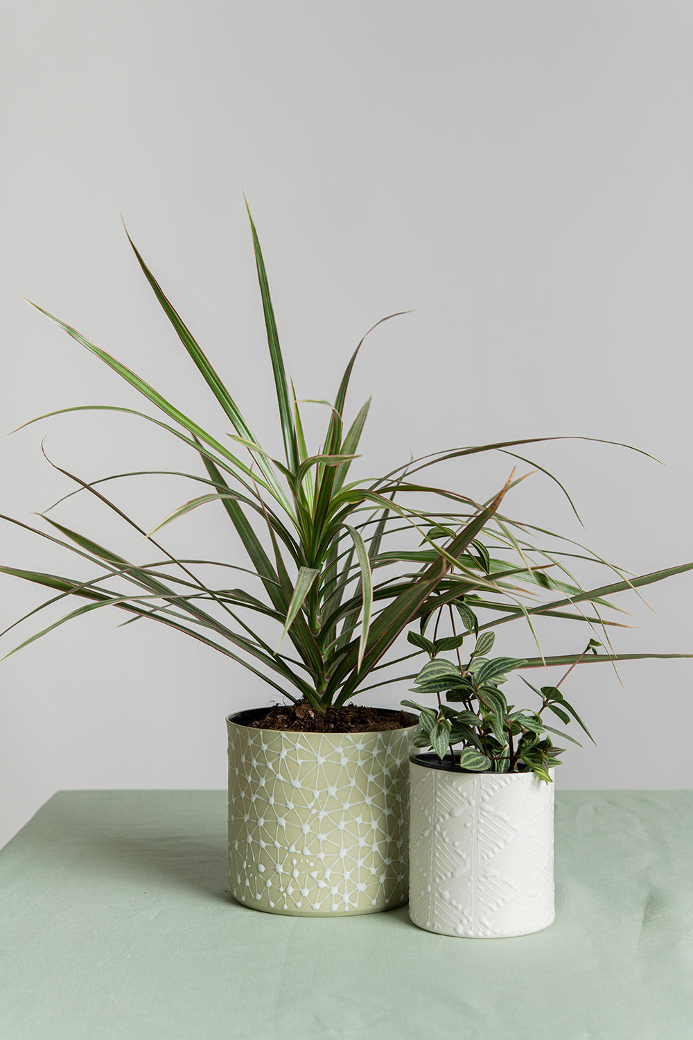 Porcelain Ceramic Planter, Handcrafted Indoor Planter, Multifunctional Ceramic Pot, Slip-Cast Decorative Planter, Home Decor Planter, Succulent Ceramic Pot, Elegant Cylindrical Planter, Colored Porcelain Planter, Artistic Indoor Plant Pot