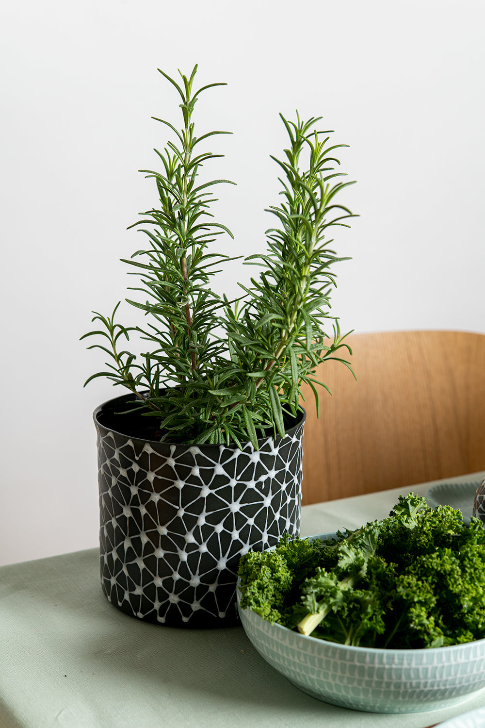 Porcelain Ceramic Planter, Handcrafted Indoor Planter, Multifunctional Ceramic Pot, Slip-Cast Decorative Planter, Home Decor Planter, Succulent Ceramic Pot, Elegant Cylindrical Planter, Colored Porcelain Planter, Artistic Indoor Plant Pot