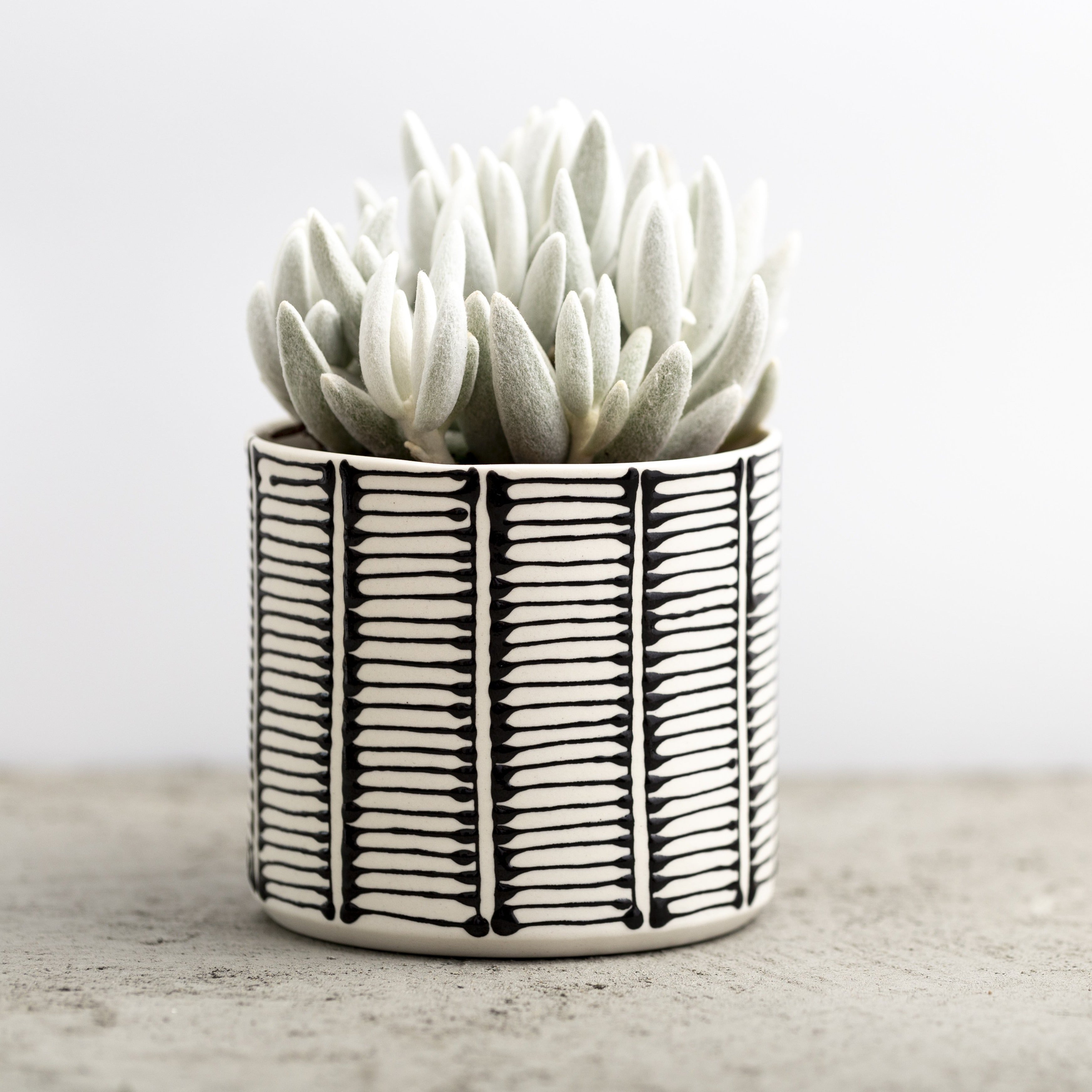 Porcelain Ceramic Planter, Handcrafted Indoor Planter, Multifunctional Ceramic Pot, Slip-Cast Decorative Planter, Home Decor Planter, Succulent Ceramic Pot, Elegant Cylindrical Planter, Colored Porcelain Planter, Artistic Indoor Plant Pot