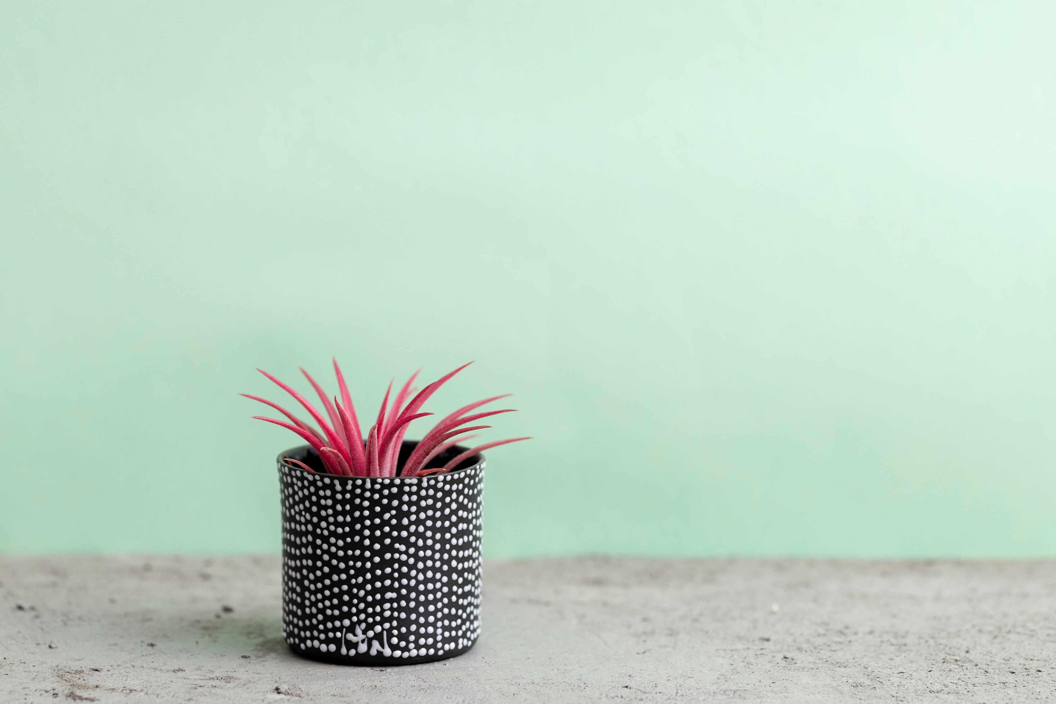 Porcelain Ceramic Planter, Handcrafted Indoor Planter, Multifunctional Ceramic Pot, Slip-Cast Decorative Planter, Home Decor Planter, Succulent Ceramic Pot, Elegant Cylindrical Planter, Colored Porcelain Planter, Artistic Indoor Plant Pot